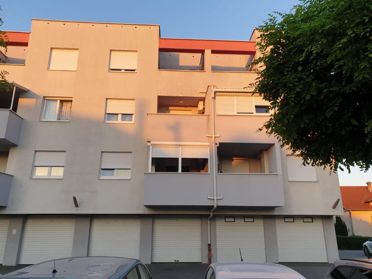 Dzakula Apartment